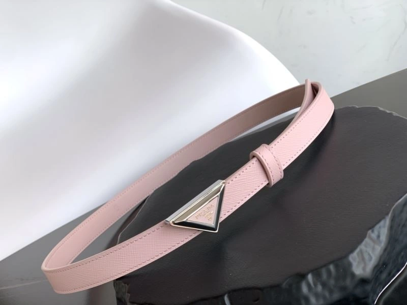Flexible Prxdx Belts 248460