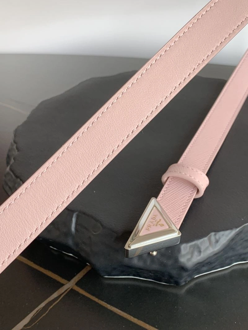 Flexible Prxdx Belts 248460