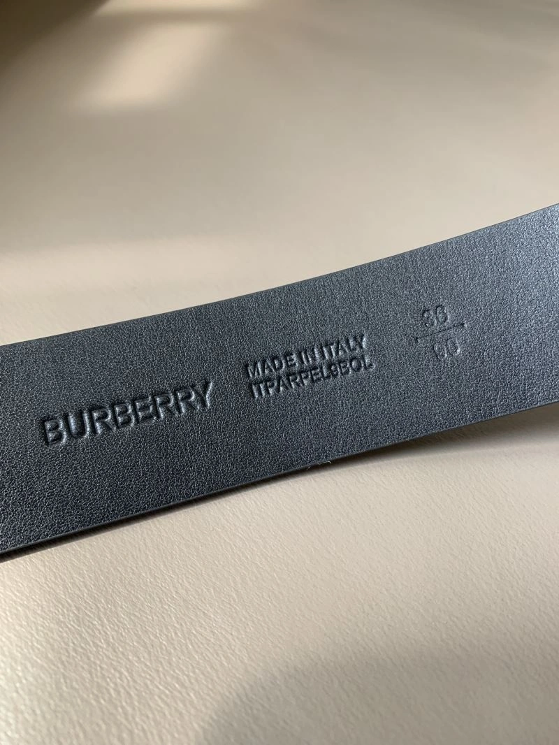 Bxrbxrry Belts WellDesigned 240820