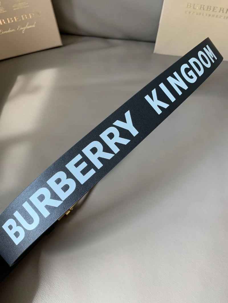 Bxrbxrry Belts WellDesigned 240820