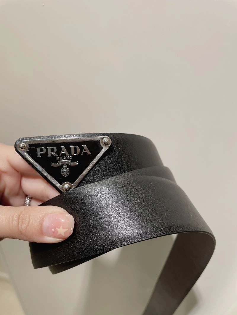 Prxdx Belts Vibrant 248439