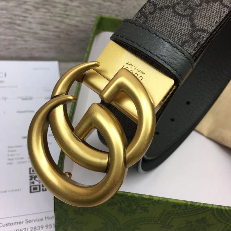 DailyWear Gxccx Belts 244466
