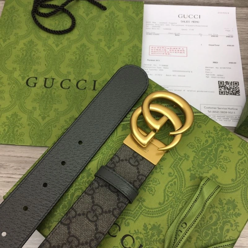 DailyWear Gxccx Belts 244466