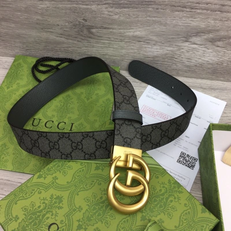 DailyWear Gxccx Belts 244466