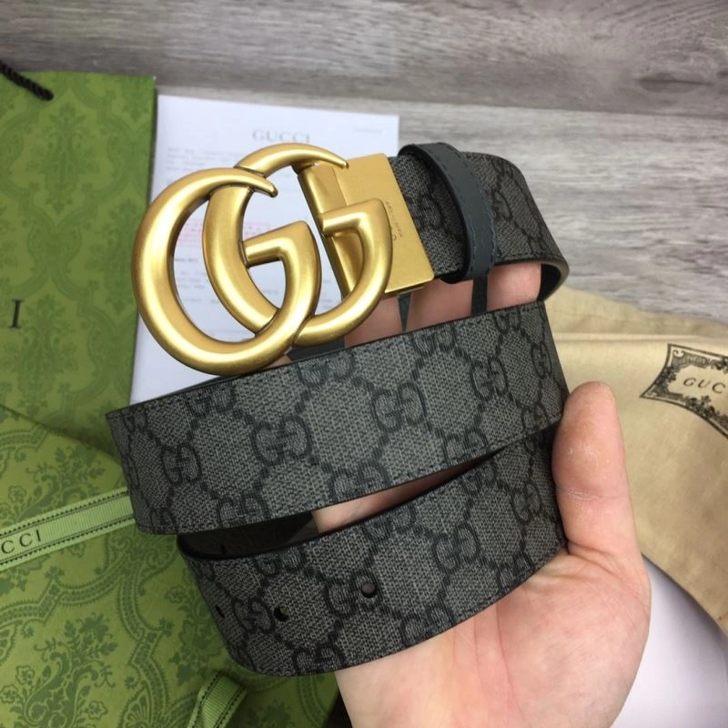 DailyWear Gxccx Belts 244466