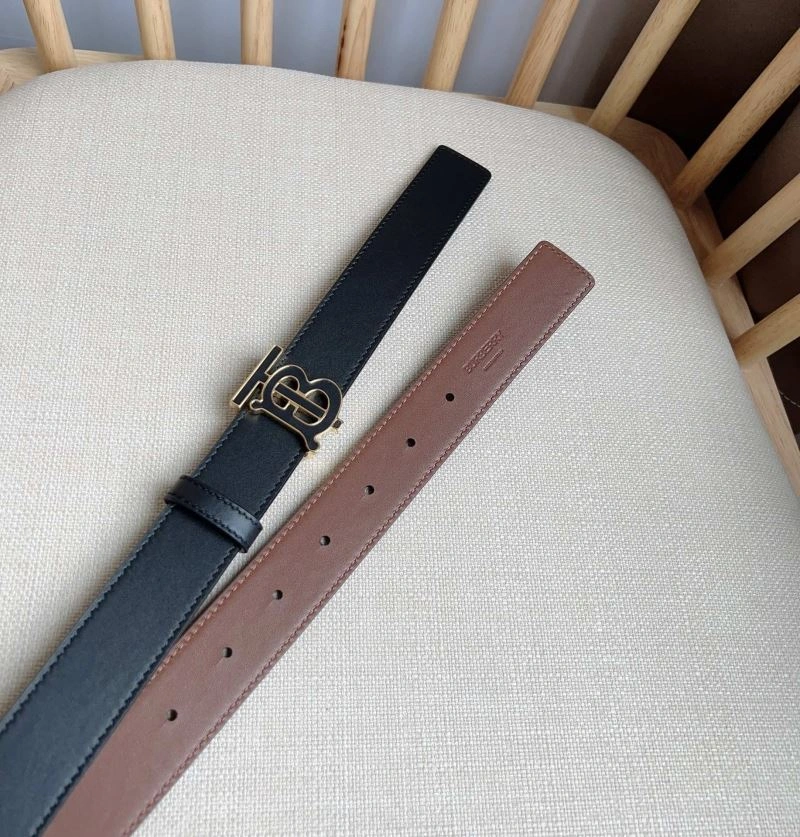 DailyWear Bxrbxrry Belts 240815