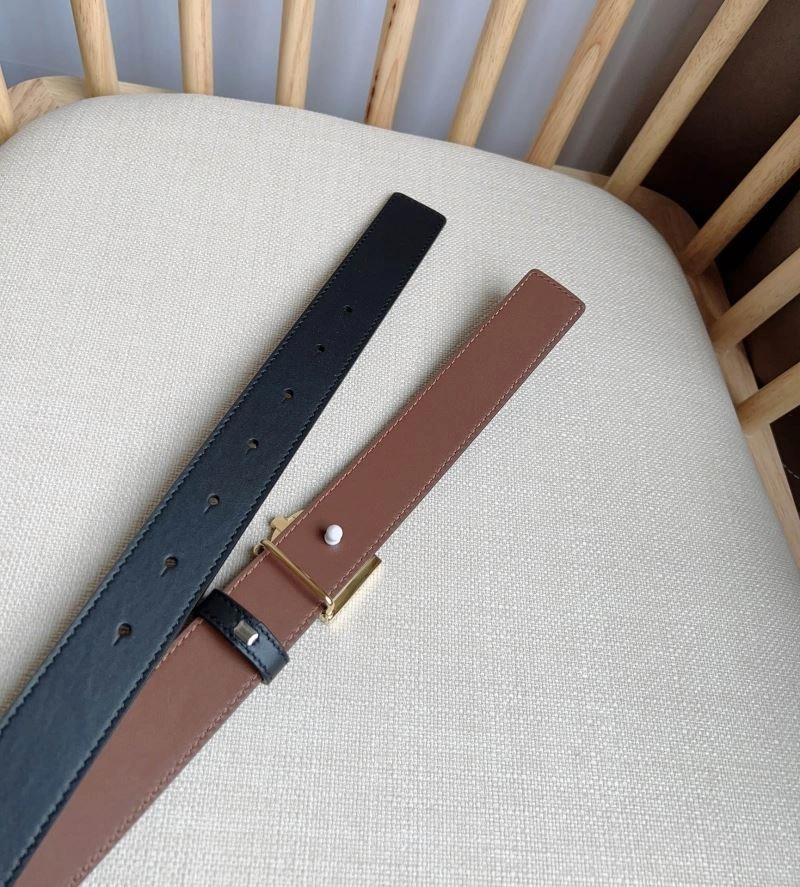 DailyWear Bxrbxrry Belts 240815