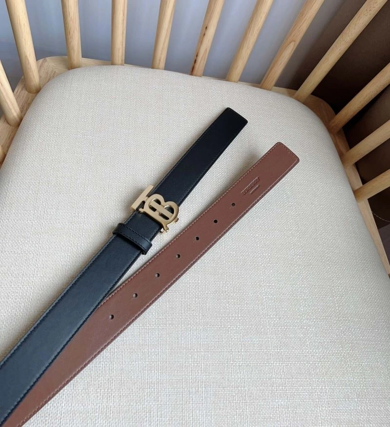 Bxrbxrry Belts WellDesigned 240818