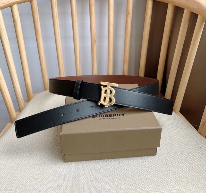 Bxrbxrry Belts WellDesigned 240818