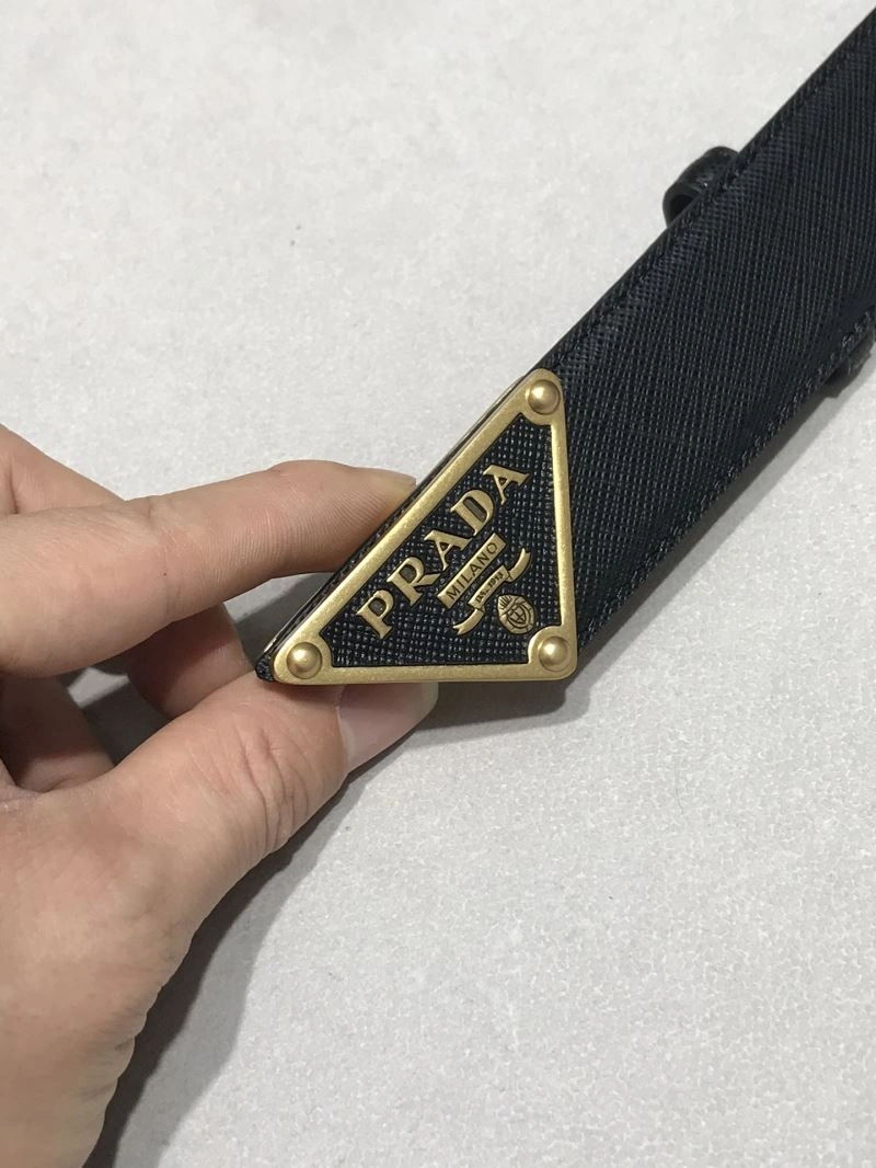 Trendy Prxdx Belts 248444
