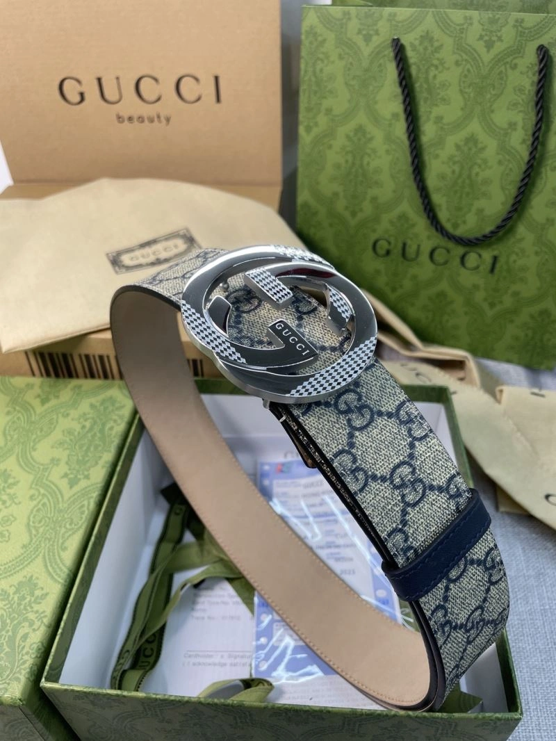 DailyWear Gxccx Belts 244356