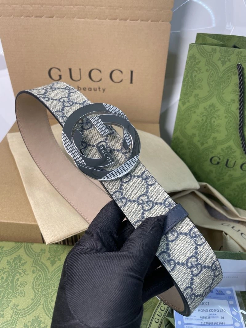 DailyWear Gxccx Belts 244356