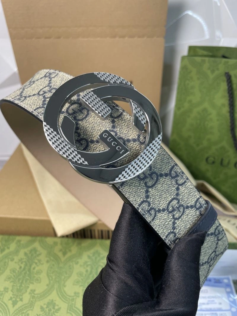 DailyWear Gxccx Belts 244356
