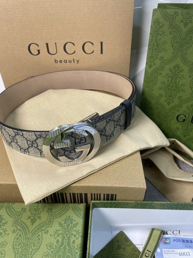 DailyWear Gxccx Belts 244356