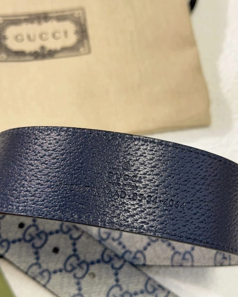 DailyWear Gxccx Belts 244305