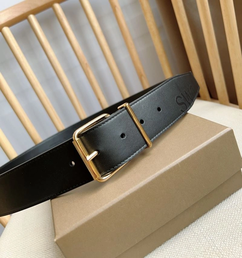 Trendsetting Bxrbxrry Belts 240740
