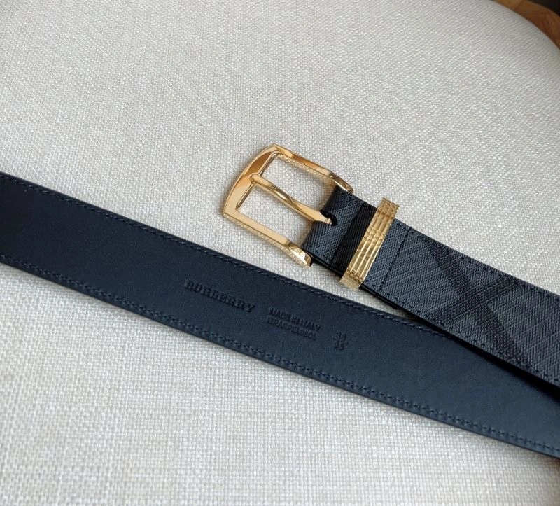 Bxrbxrry Belts Lightweight 240732