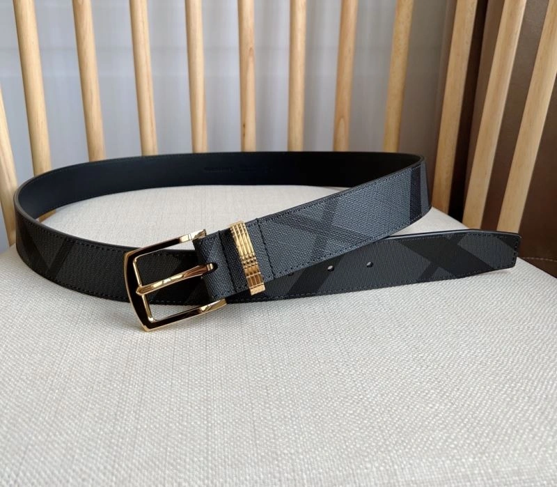 Bxrbxrry Belts Lightweight 240732