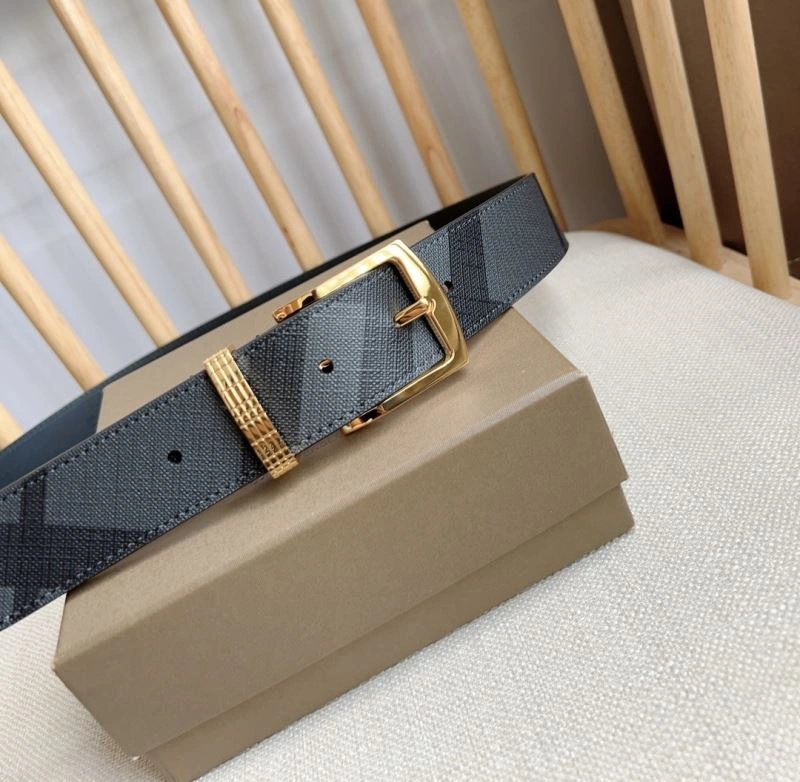 Bxrbxrry Belts Lightweight 240732