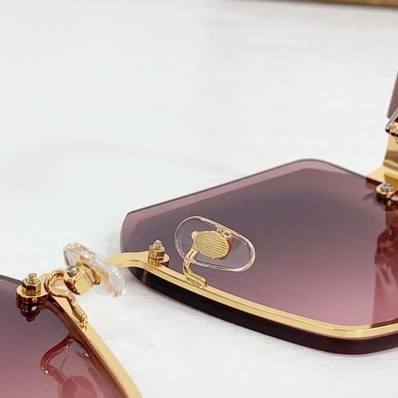 Comfortable Bxrbxrry Sunglasses 250044