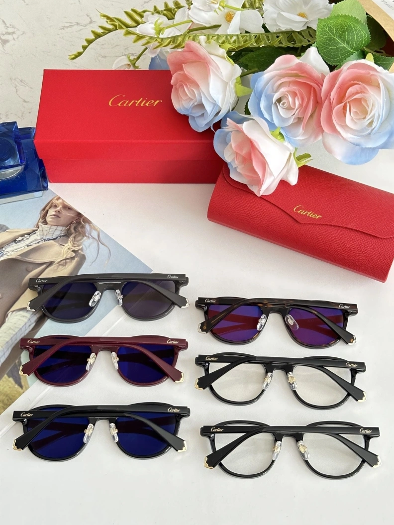 StreetReady Othxr Sunglasses 254407