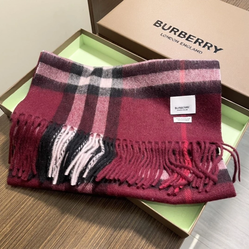 Fashionable BXRBXRRY 274839