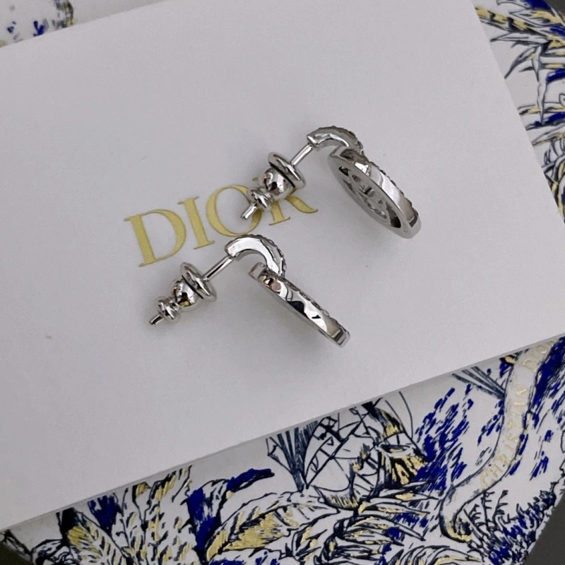 EyeCatching LX Earrings 310241