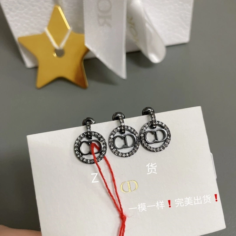 Stylish LX Earrings 310244