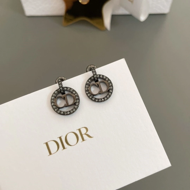 Stylish LX Earrings 310244