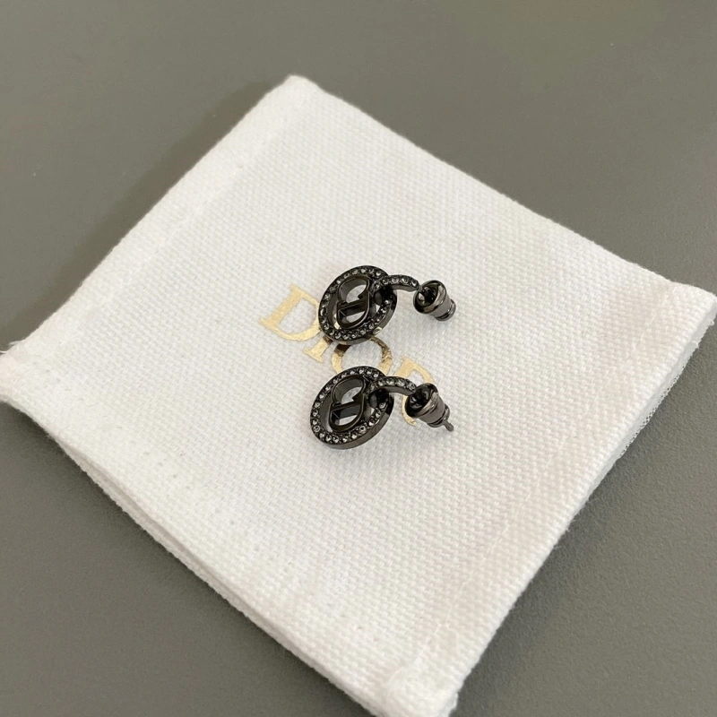 Stylish LX Earrings 310244