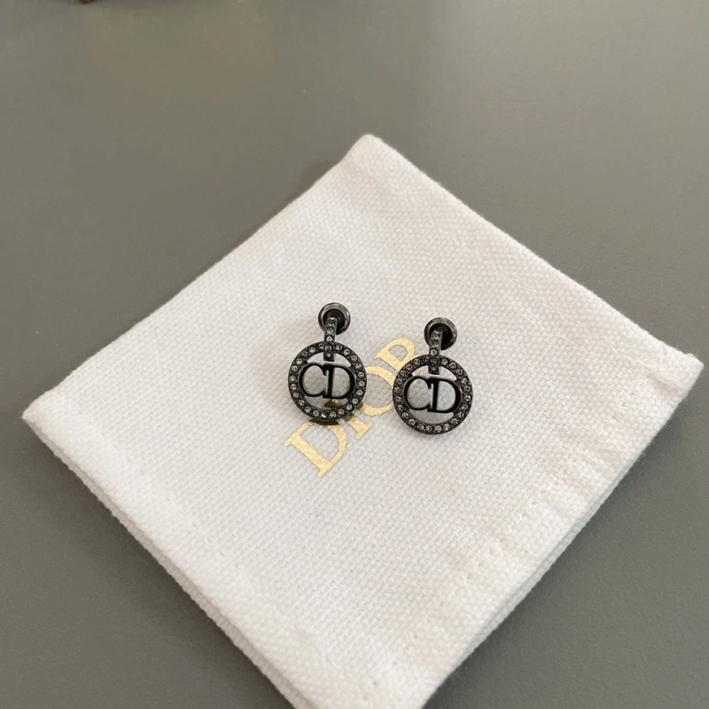 Stylish LX Earrings 310244