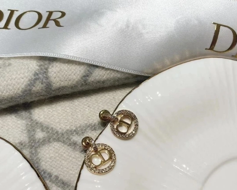 Stylish LX Earrings 310244