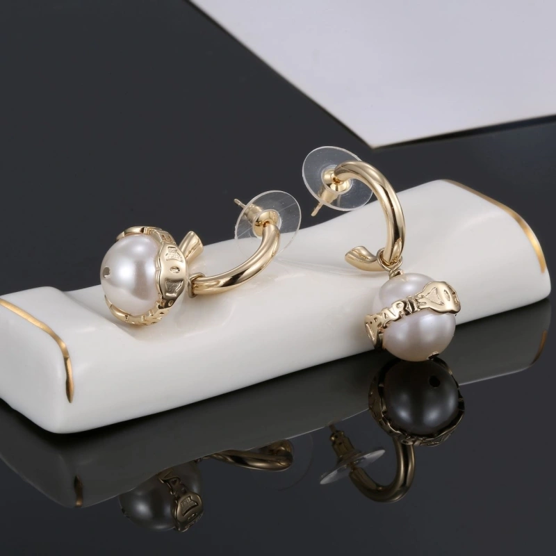 Chxnxl Earrings Elegant 290442