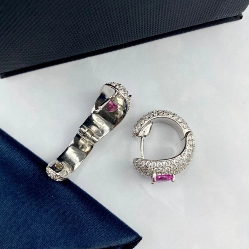 Bright Axm Earrings 281955