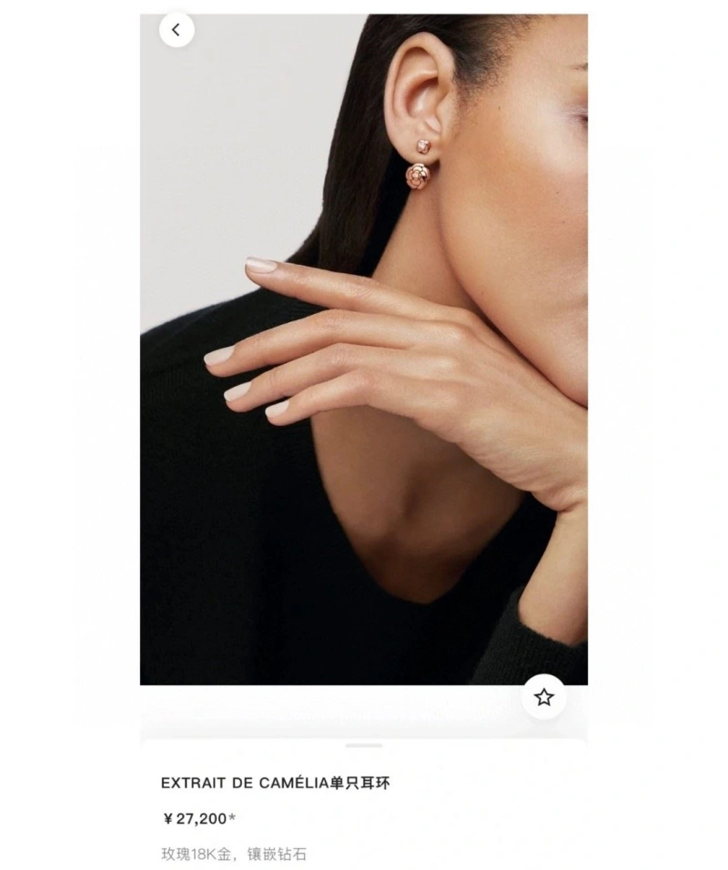 Chxnxl Earrings Affordable 290317