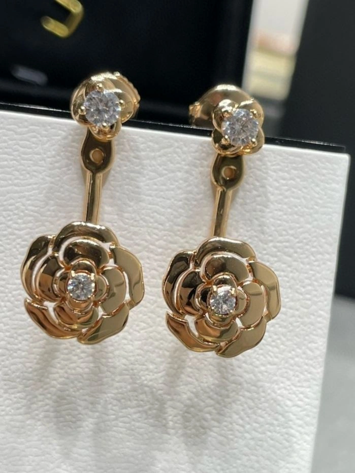 Chxnxl Earrings Affordable 290317