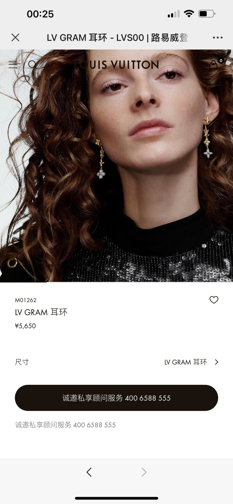 LX Earrings Trendy 310229