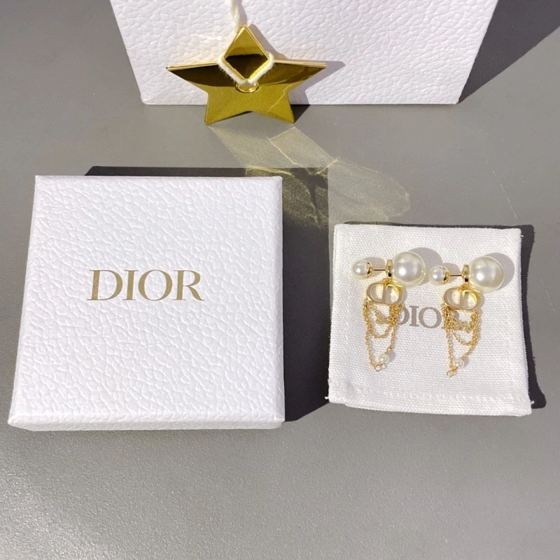 WellDesigned LX Earrings 310228