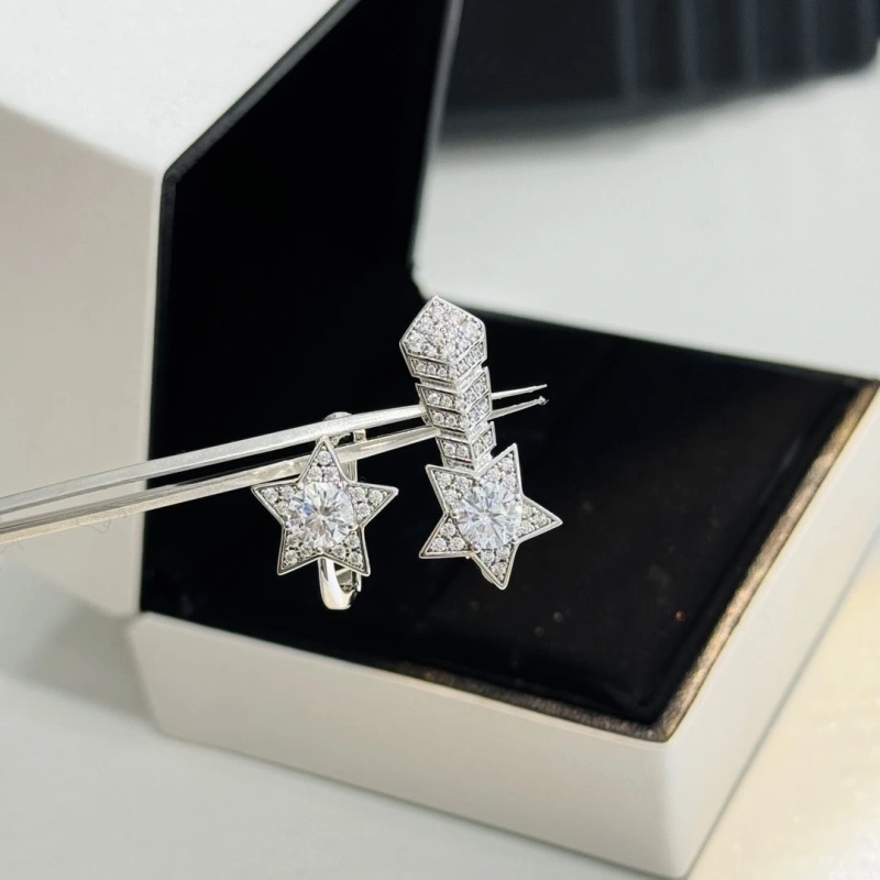 Comfortable Chxnxl Earrings 290255
