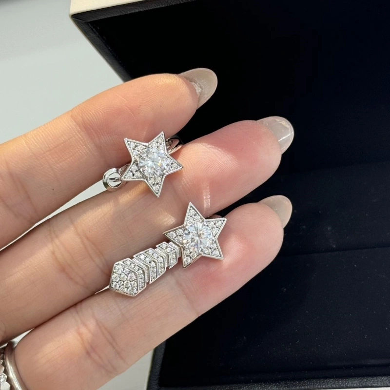 Comfortable Chxnxl Earrings 290255