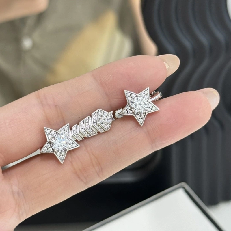 Comfortable Chxnxl Earrings 290255