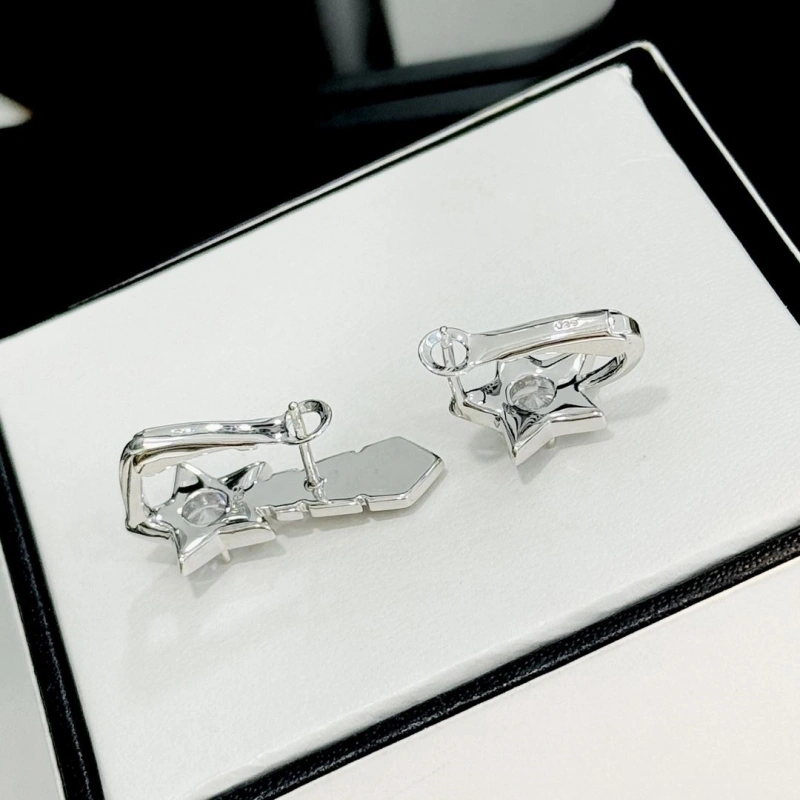 Comfortable Chxnxl Earrings 290255