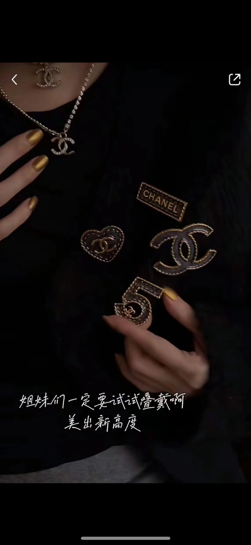 DailyWear Chxnxl Brooches 290620