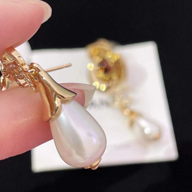 Chxnxl Earrings DailyWear 290193