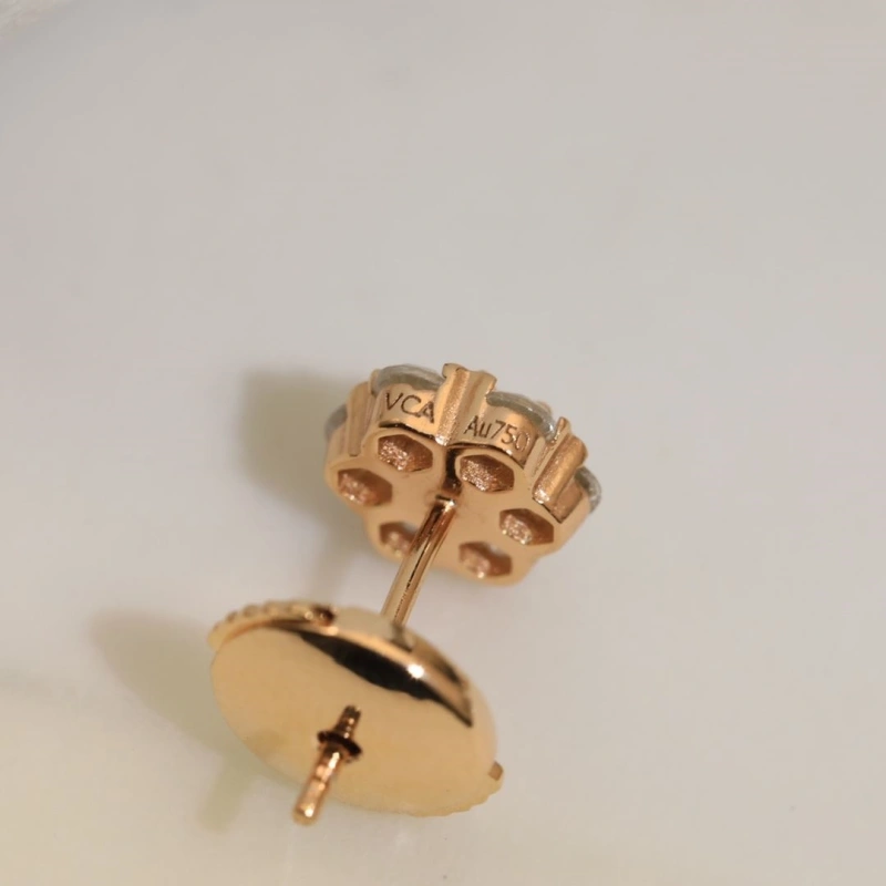 Popular Vcx Earrings 315998