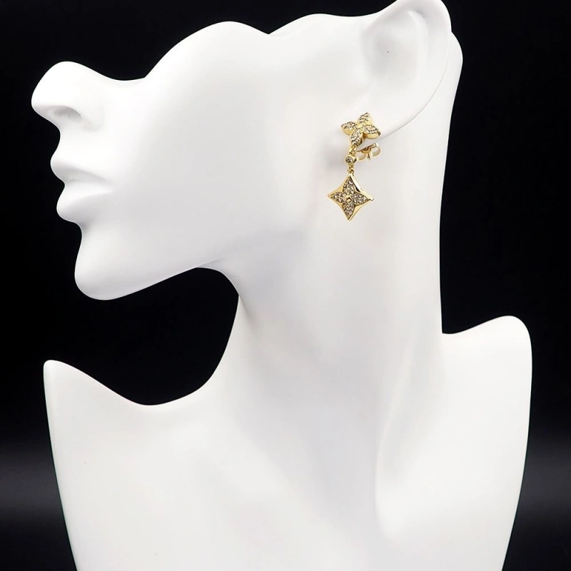 LX Earrings WellDesigned 310210