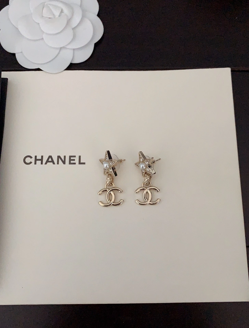 DailyWear Chxnxl Earrings 290122
