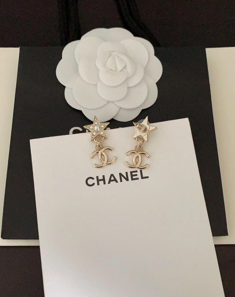 DailyWear Chxnxl Earrings 290122