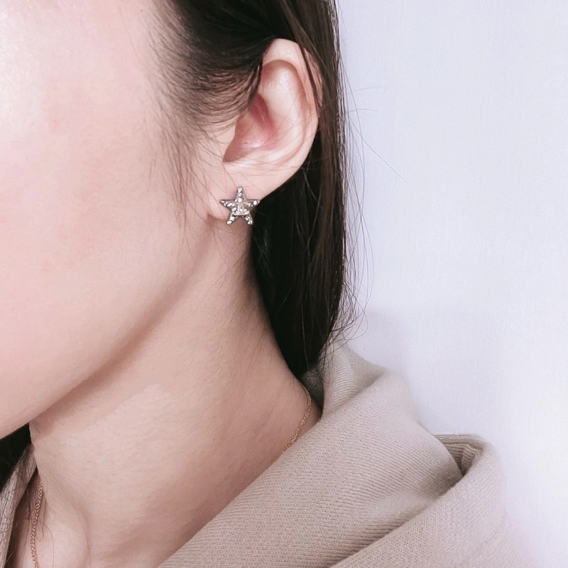 Chxnxl Earrings Elegant 290137