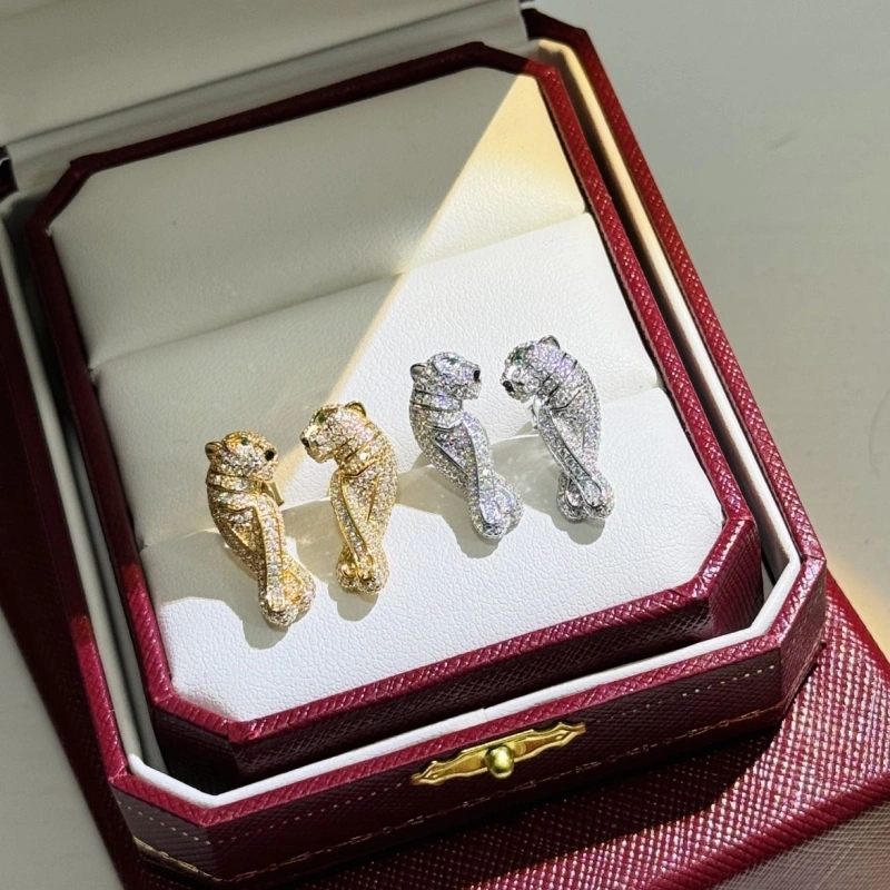 Stylish Cxrtxer Earrings 283292